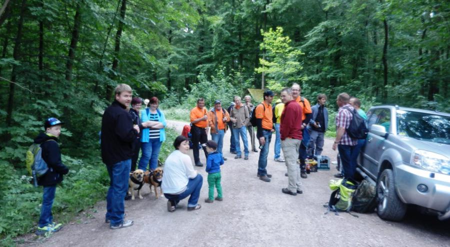 Bild: An der Struppeiche