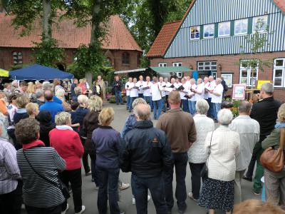 Foto des Albums: Blütenfest des Tourismusvereins (22.06.2014)