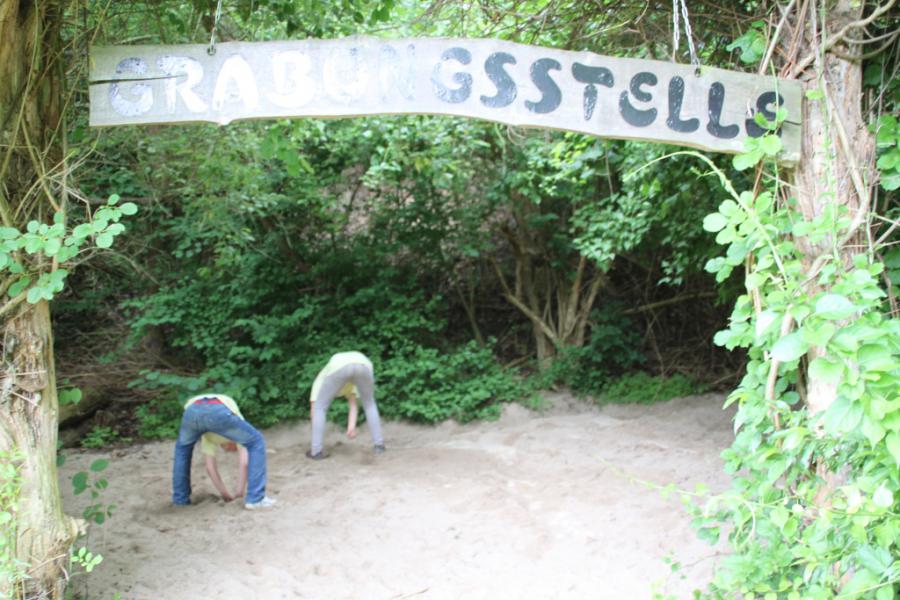 Bild der Galerie