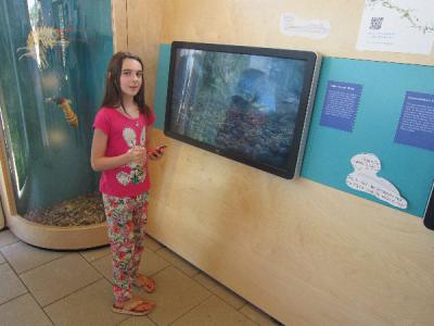 Foto des Albums: Landesgartenschau 2014 in Deggendorf
