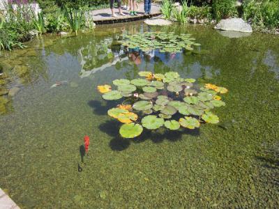 Foto des Albums: Landesgartenschau 2014 in Deggendorf