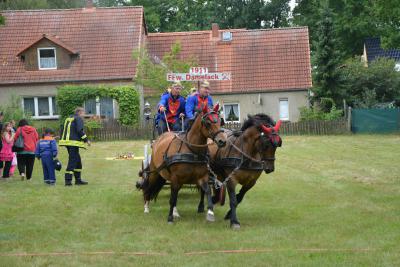 Foto des Albums: 100 Jahre FFW Sarnow und Stadtjugendfeuerwehrtag Pritzwalk