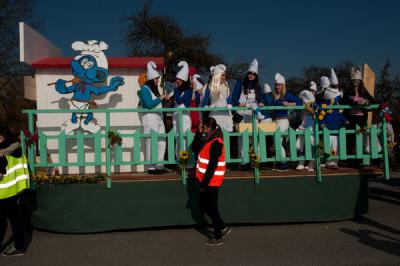 Foto des Albums: Rosenmontag 2014