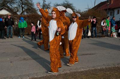 Foto des Albums: Rosenmontag 2014