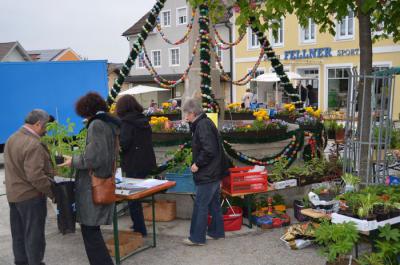 Foto des Albums: Maimarkt 2014