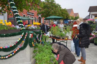 Foto des Albums: Maimarkt 2014