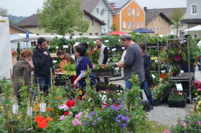 Foto des Albums: Maimarkt 2014