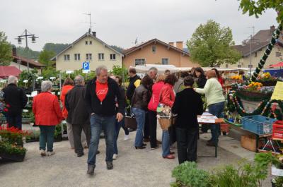 Foto des Albums: Maimarkt 2014