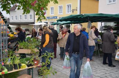 Foto des Albums: Maimarkt 2014