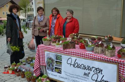 Foto des Albums: Maimarkt 2014