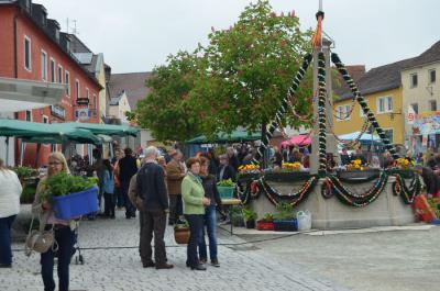 Foto des Albums: Maimarkt 2014
