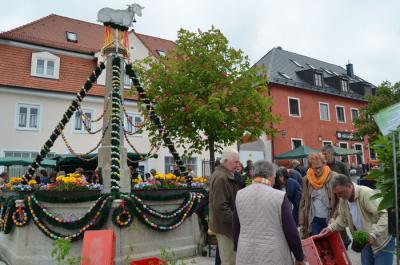 Foto des Albums: Maimarkt 2014