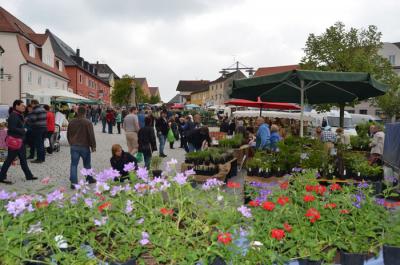 Foto des Albums: Maimarkt 2014