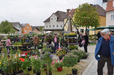 Foto des Albums: Maimarkt 2014