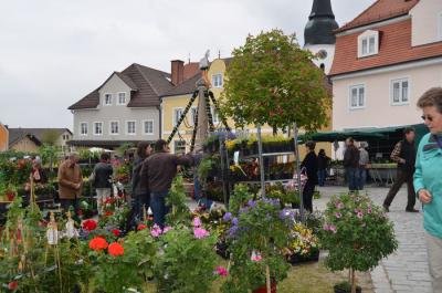 Foto des Albums: Maimarkt 2014