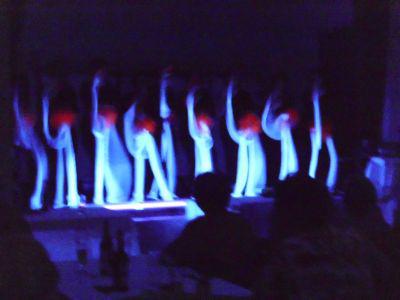 Foto des Albums: 21. Brandenburger Seniorenwoche in Mühlberg