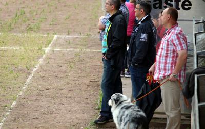 Foto des Albums: C-Jugend Pokalendspiel 15.06.2014