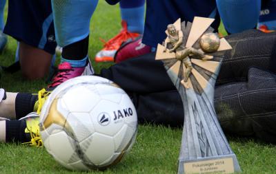 Foto des Albums: B-Jugend Pokalendspiel 15.06.2014 N