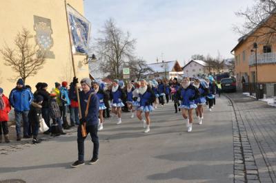 Foto des Albums: Rosenmontagsumzug 2013