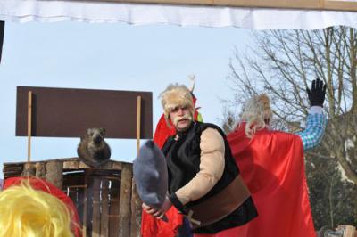 Foto des Albums: Rosenmontagsumzug 2013