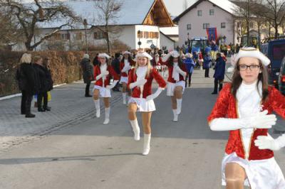 Foto des Albums: Rosenmontagsumzug 2013