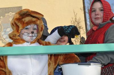 Foto des Albums: Rosenmontagsumzug 2013
