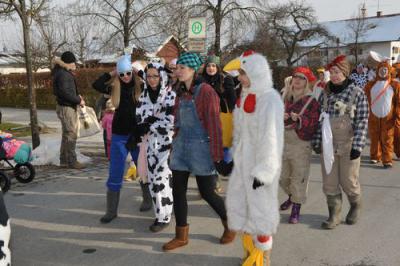 Foto des Albums: Rosenmontagsumzug 2013