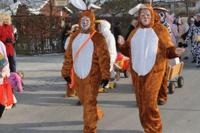 Foto des Albums: Rosenmontagsumzug 2013