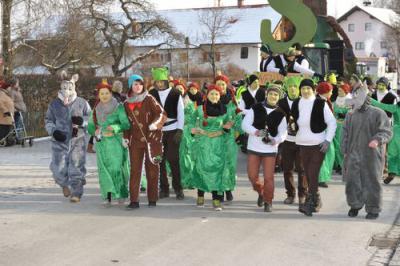 Foto des Albums: Rosenmontagsumzug 2013