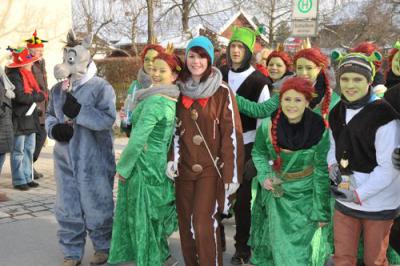 Foto des Albums: Rosenmontagsumzug 2013