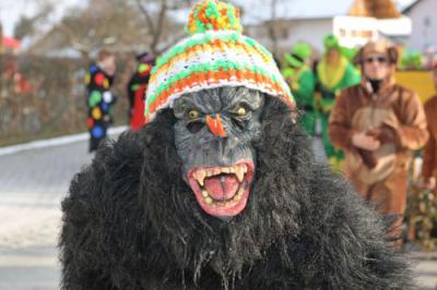 Foto des Albums: Rosenmontagsumzug 2013