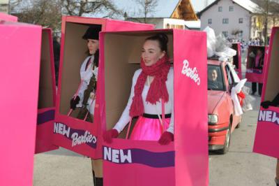 Foto des Albums: Rosenmontagsumzug 2013