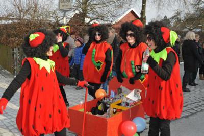 Foto des Albums: Rosenmontagsumzug 2013