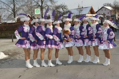 Foto des Albums: Rosenmontagsumzug 2013