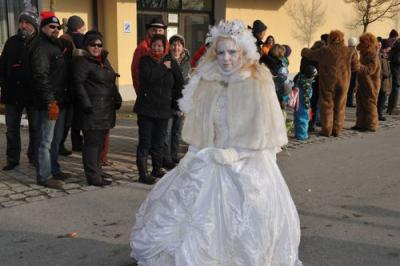 Foto des Albums: Rosenmontagsumzug 2013