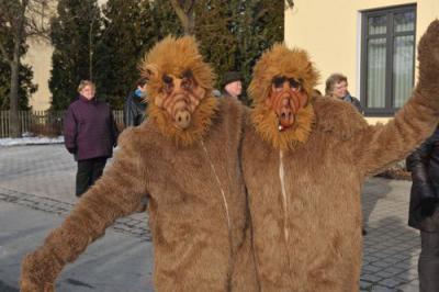 Foto des Albums: Rosenmontagsumzug 2013