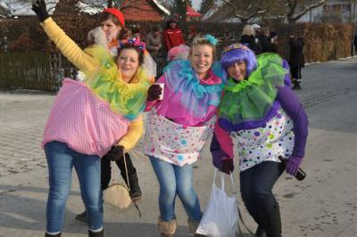 Foto des Albums: Rosenmontagsumzug 2013