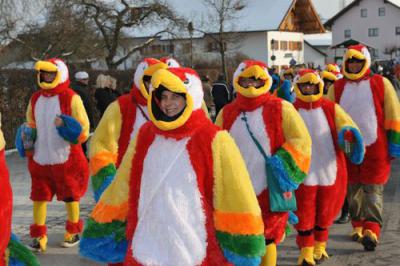 Foto des Albums: Rosenmontagsumzug 2013