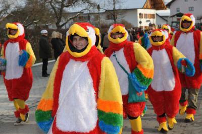 Foto des Albums: Rosenmontagsumzug 2013