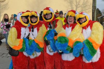 Foto des Albums: Rosenmontagsumzug 2013