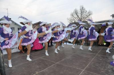 Foto des Albums: Rosenmontagsumzug 2013