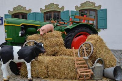 Foto des Albums: Herbstmarkt 2013