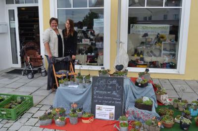 Foto des Albums: Herbstmarkt 2013