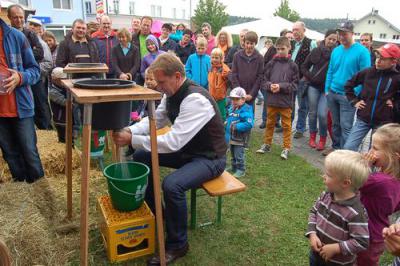 Foto des Albums: Herbstmarkt 2013