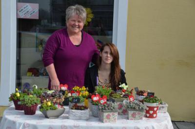 Foto des Albums: Maimarkt 2013