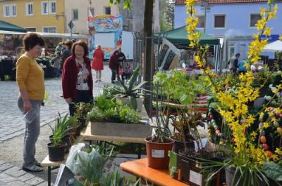 Foto des Albums: Maimarkt 2013