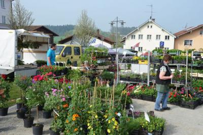 Foto des Albums: Maimarkt 2013