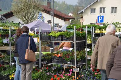 Foto des Albums: Maimarkt 2013