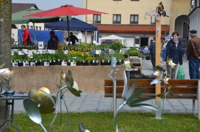 Foto des Albums: Maimarkt 2013