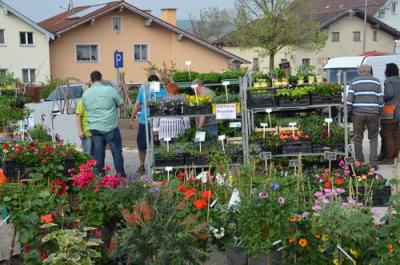 Foto des Albums: Maimarkt 2013